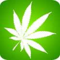 Weed Illusion / Marijuana Free
