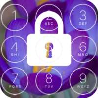 Iphone Lock Screen