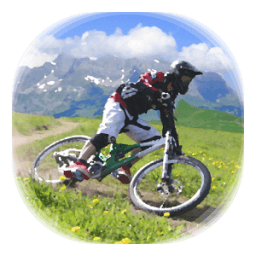 Downhill Champion Lite icon