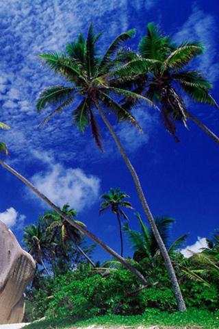 Hawaii Scenery Wallpaper скриншот 4