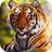 Tiger and Lion Wallpaper 1.9