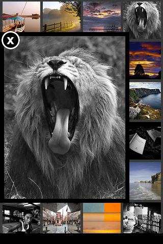 Flickr Daily Inspiration скриншот 3