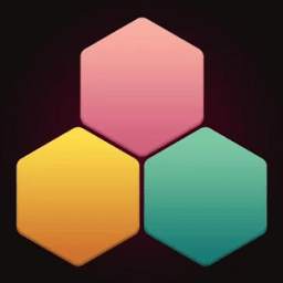 1010 Hexagon Grid Fit Puzzle
