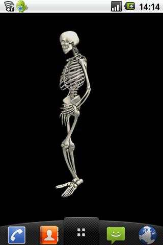 Funny dancing skeletonLWP FREE screenshot 3