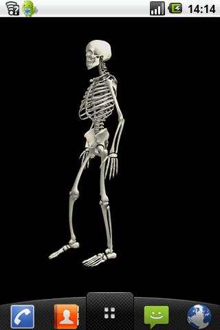Funny dancing skeletonLWP FREE screenshot 2