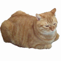 Cat Runner CHIP icon