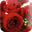 Red roses wallpaper icon