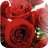 Red roses wallpaper on 9Apps