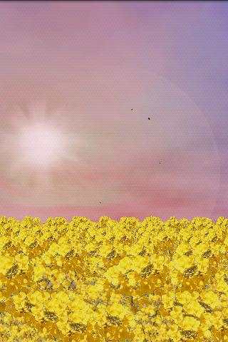 Rape Field FREE screenshot 3