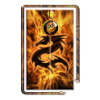 Fire Dragon Zipper Screen Lock icon