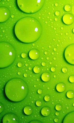 Green Wallpapers screenshot 1