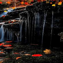 Autumn Waterfall LWP