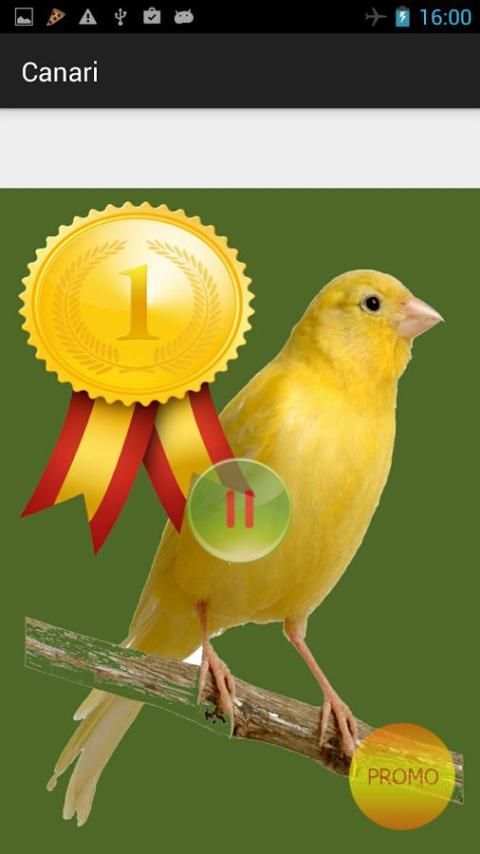 Winner Canary screenshot 1