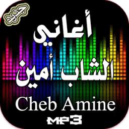 الشاب أمين 1.0