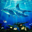 Dolphin HD Live WallPaper icon