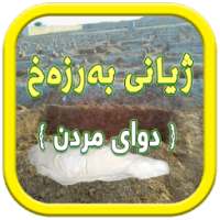 ژیانی بە رزه خ