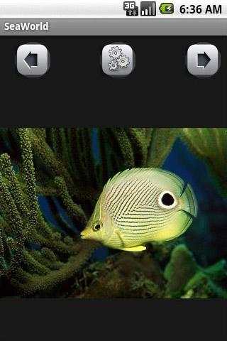 Sea World Wallpaper screenshot 2