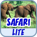 BabyFirst’s Safari Lite icon