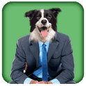 Dog Body language Translator icon