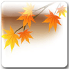 Maple Leaf Live Wallpaper Pro आइकन