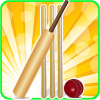 T20 Cricket Blast 2014 أيقونة