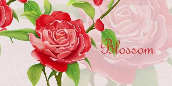 Blossom GO Launcher FREE Theme 4 تصوير الشاشة