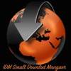 IDM Small Downlod Manager 1.0