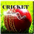 Cricket World Cup Game 1