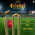 Mobile Cricket Games 1