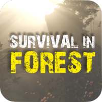 Survival in Forest