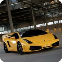 Speed Racing Drivers 2016