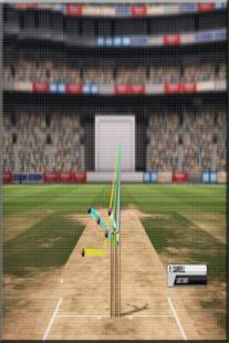 Cricket T20 Hits 2014 screenshot 3
