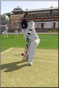Cricket T20 Hits 2014 screenshot 2