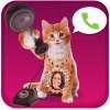 Cat Caller Speaker