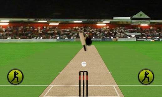 Cricket 2015 screenshot 1