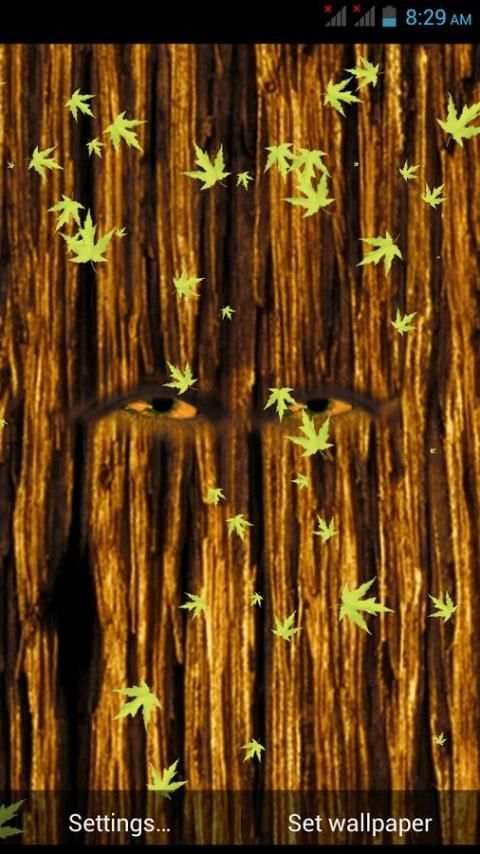 funny tree live wallpaper screenshot 1