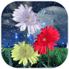 Flowers Live Wallpaper أيقونة