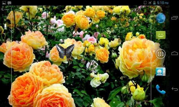 Flowers Live Wallpaper screenshot 1