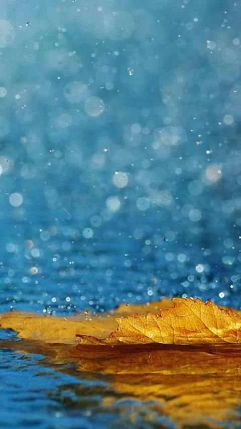 Beautiful Nature Wallpapers screenshot 3