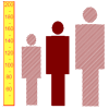 Height Calculator icon