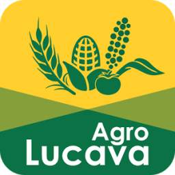 Agro Lucava