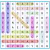 Word Search Game