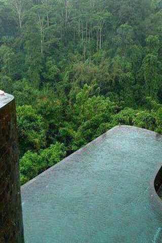 Nature Live Wallpaper स्क्रीनशॉट 3