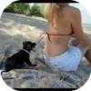 Free Funny Videos 1.0