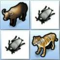 Kid Memory Card : Animal Game