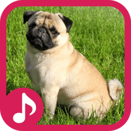 Dog Barking Sounds आइकन