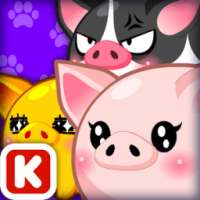 Animal Judy: Mini Pig care