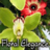 Приложение Цветы on 9Apps