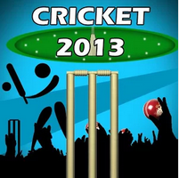 Cricket 2013 - New Game أيقونة