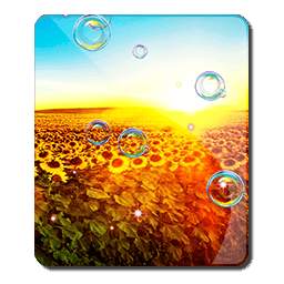 Country Magic HD LWP 1.0
